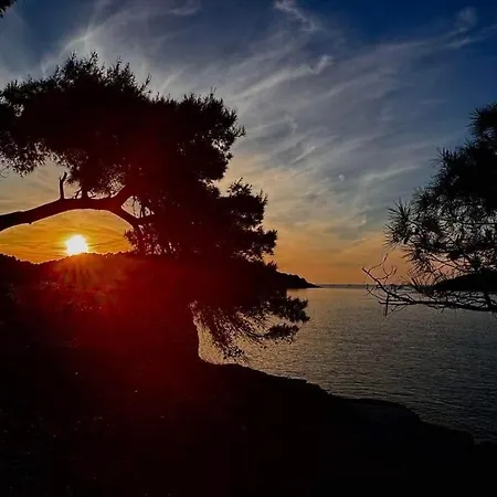 Karlo Rukavac (Vis)
