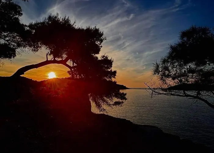 Karlo Rukavac (Vis)